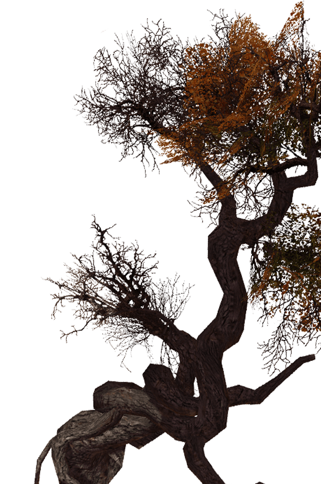 古树免抠高清素材png