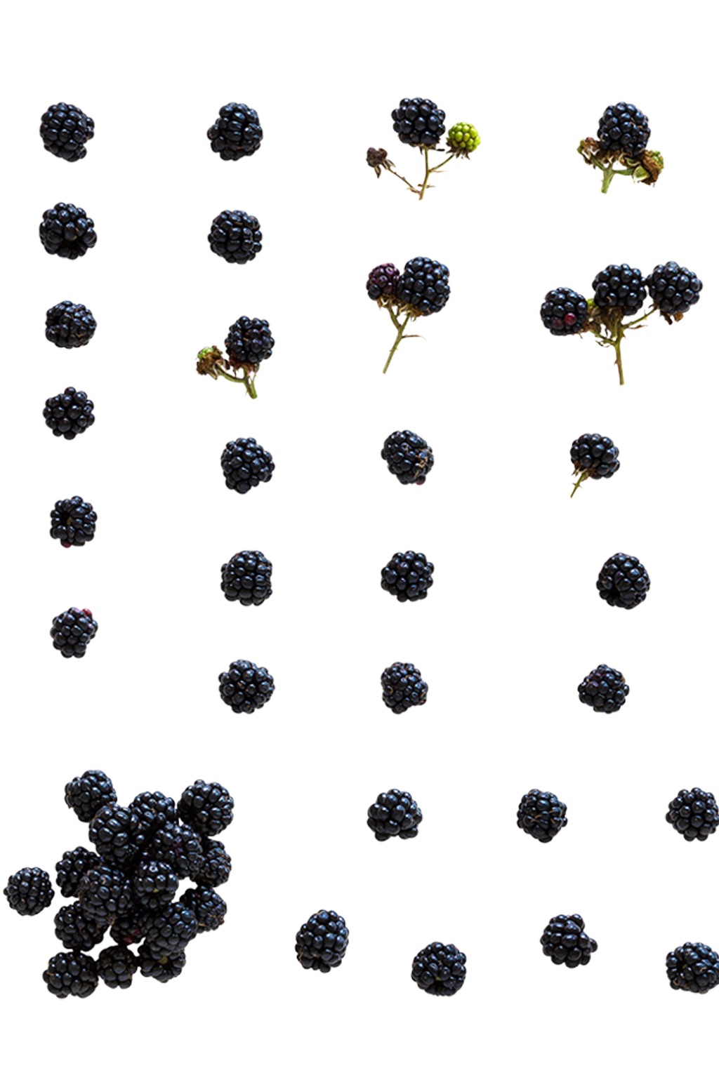 树莓水果.png素材