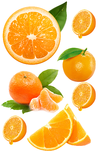 橙子橘子.png