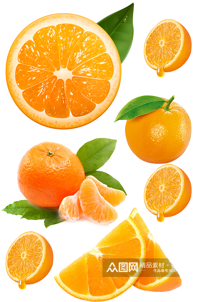 橙子橘子.png素材
