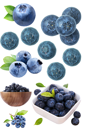 蓝莓免抠.png