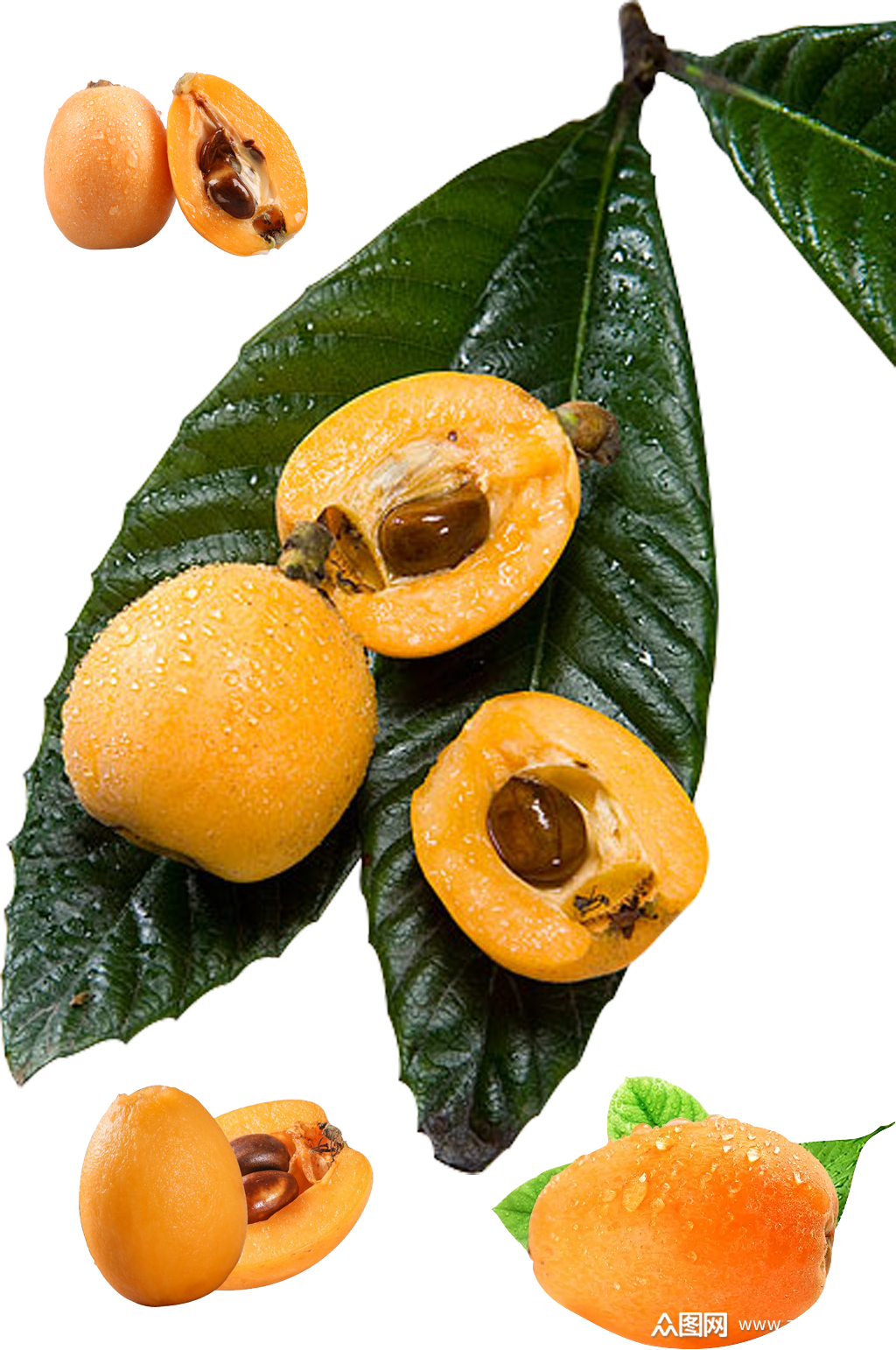 枇杷果素材.png模板下载-编号804930-众图网