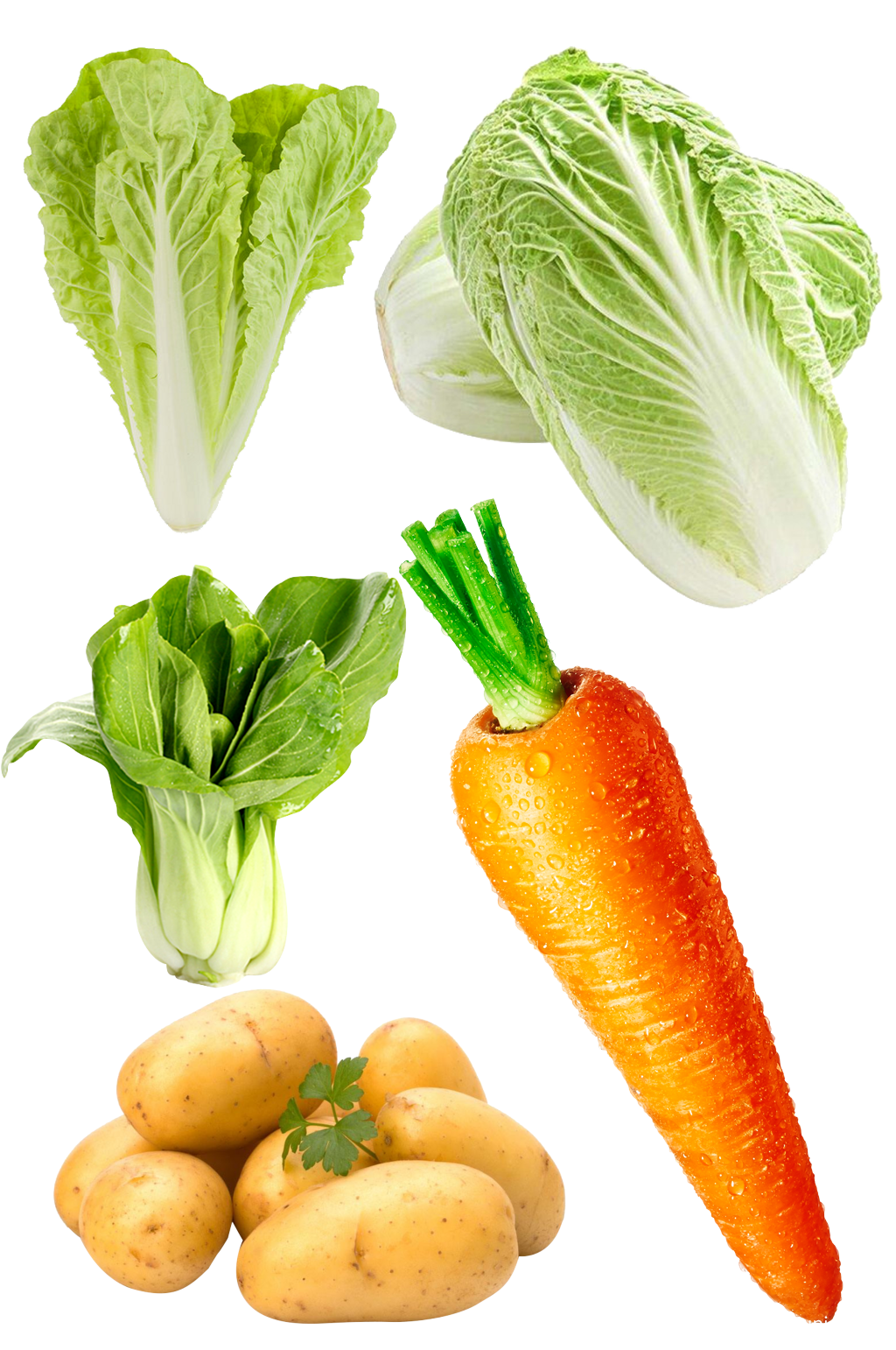 猜水果蔬菜,水果蔬菜,水果蔬菜卡通_大山谷图库