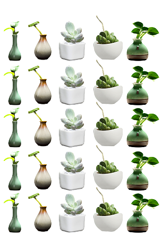 烤瓷绿植花瓶.png