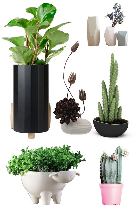 室内花盆图片 室内花盆素材下载 众图网