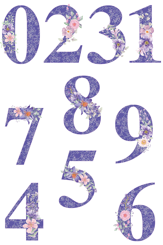 紫色花纹数字元素.png