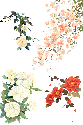 绿植花朵素材.png