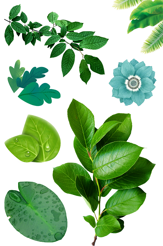 绿植花卉元素.png