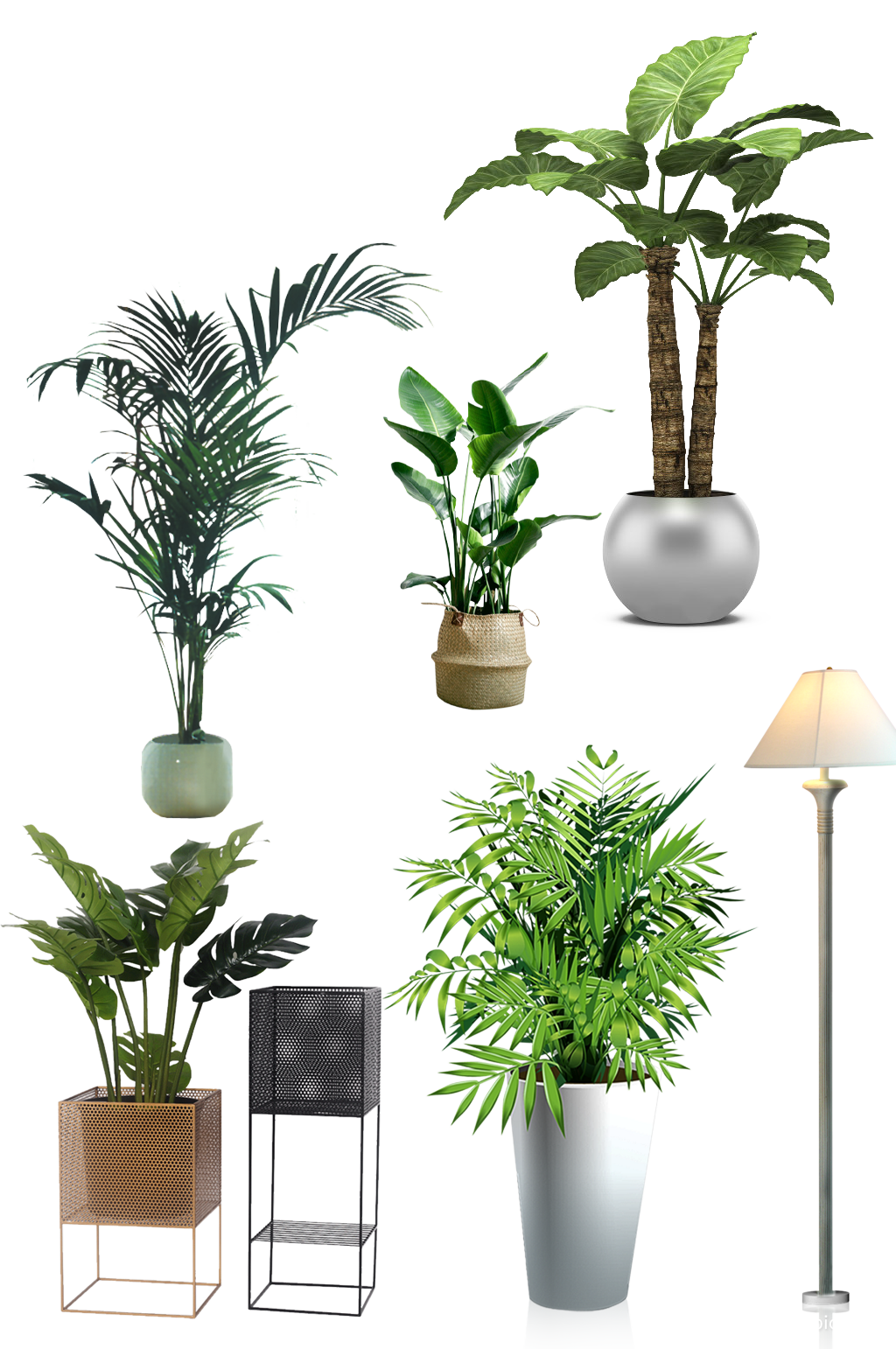 室内绿植装饰png