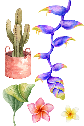 手绘绿植花盆.png