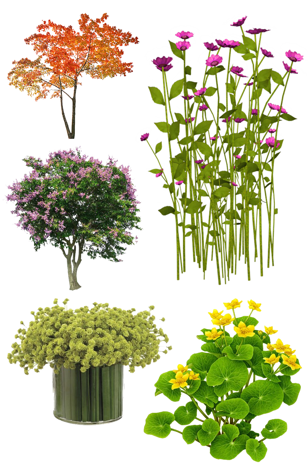 ダウンロード素材植物 植物剪影素材