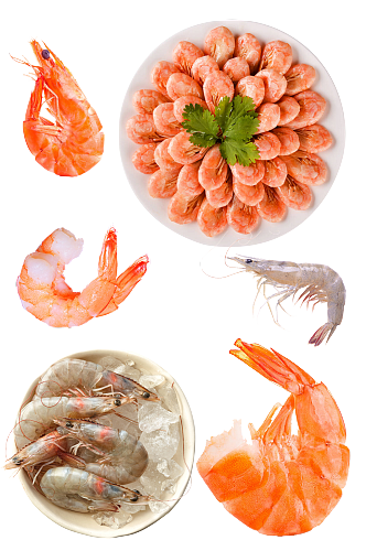小龙虾高清美食元素