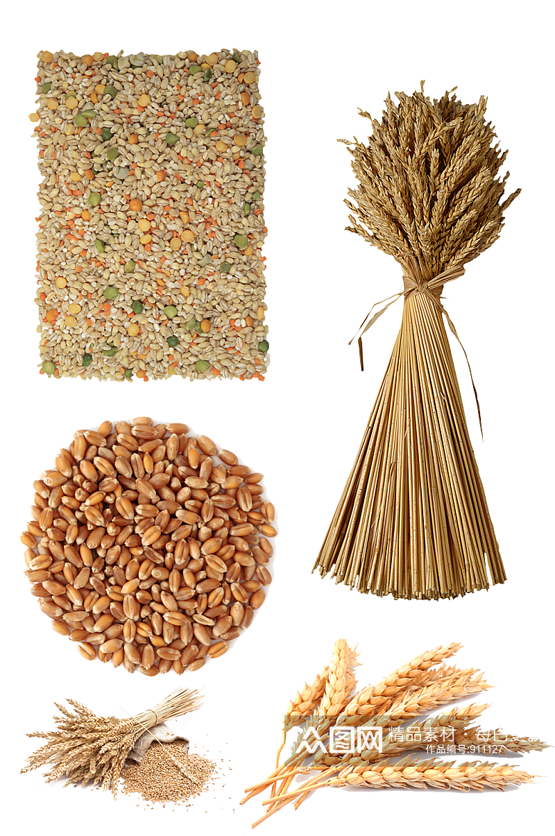 小麦素材粮食元素素材