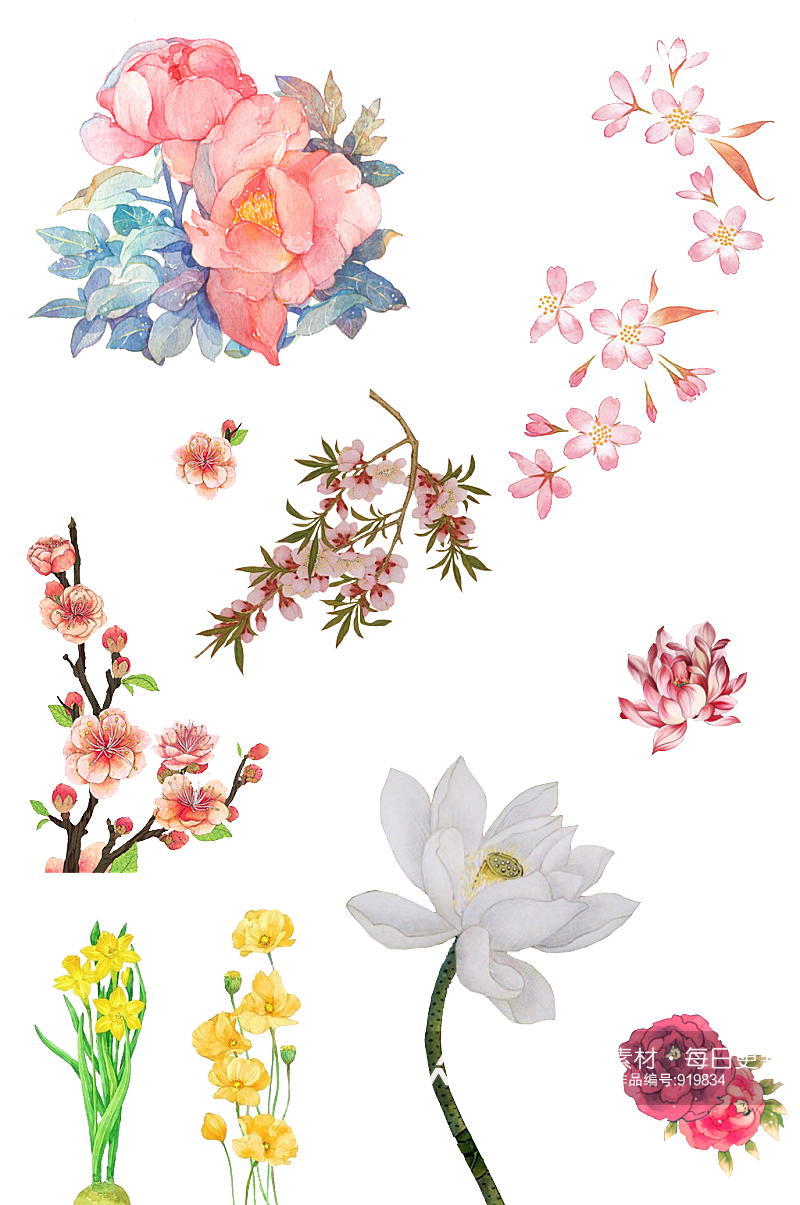 手绘花卉免抠素材素材