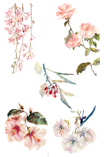 手绘花卉元素装饰