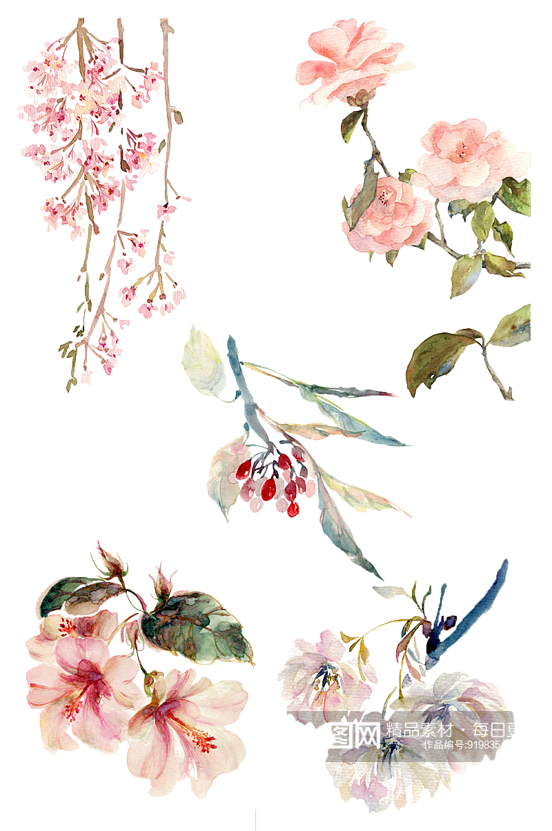 手绘花卉元素装饰素材