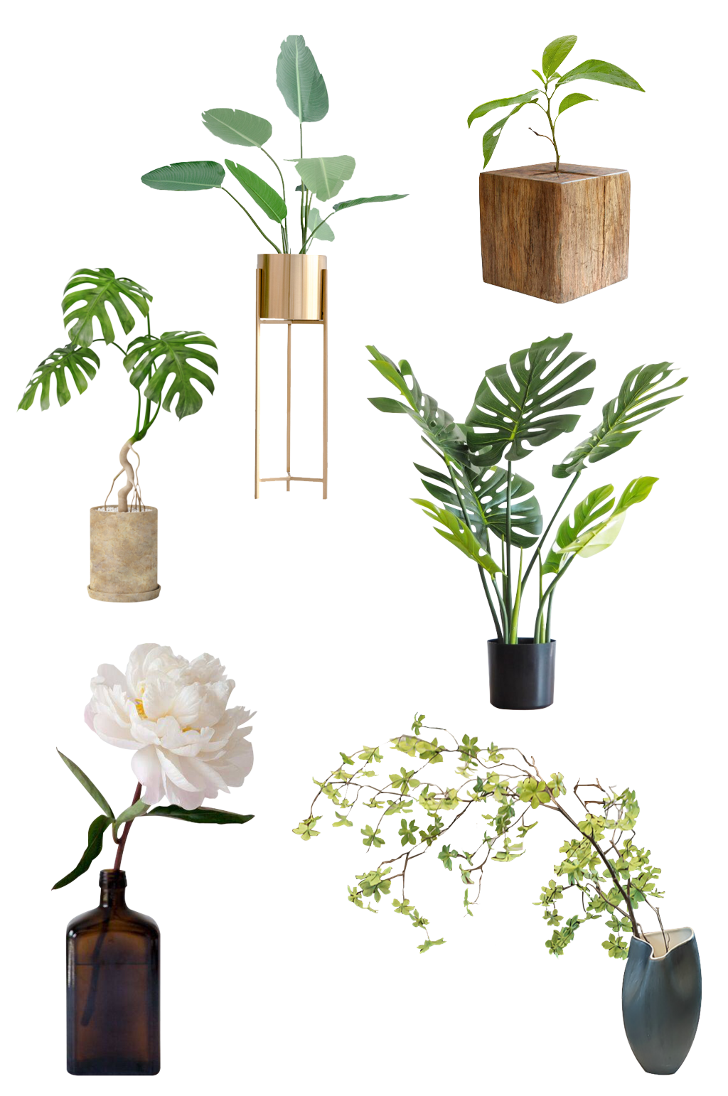 花卉绿植免抠元素素材