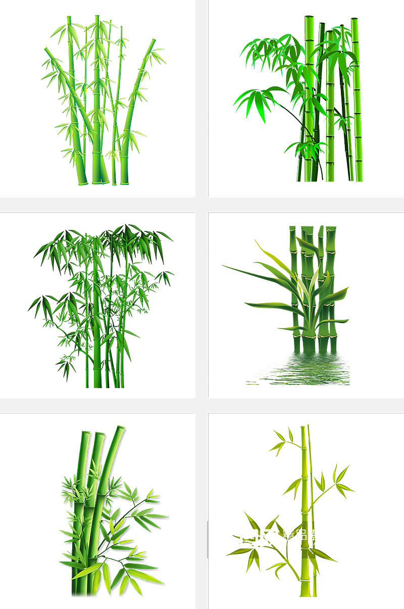 绿竹竹林素材装饰素材