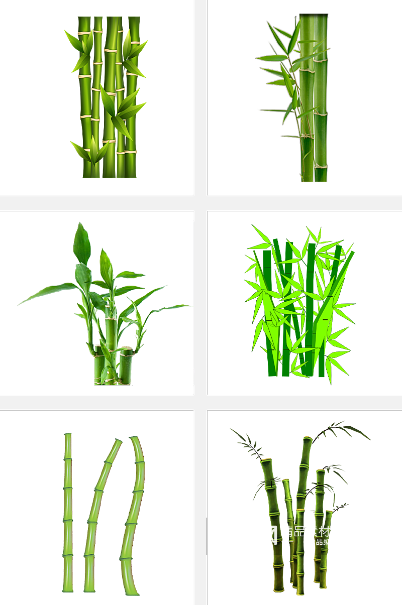 竹笋绿植装饰素材素材