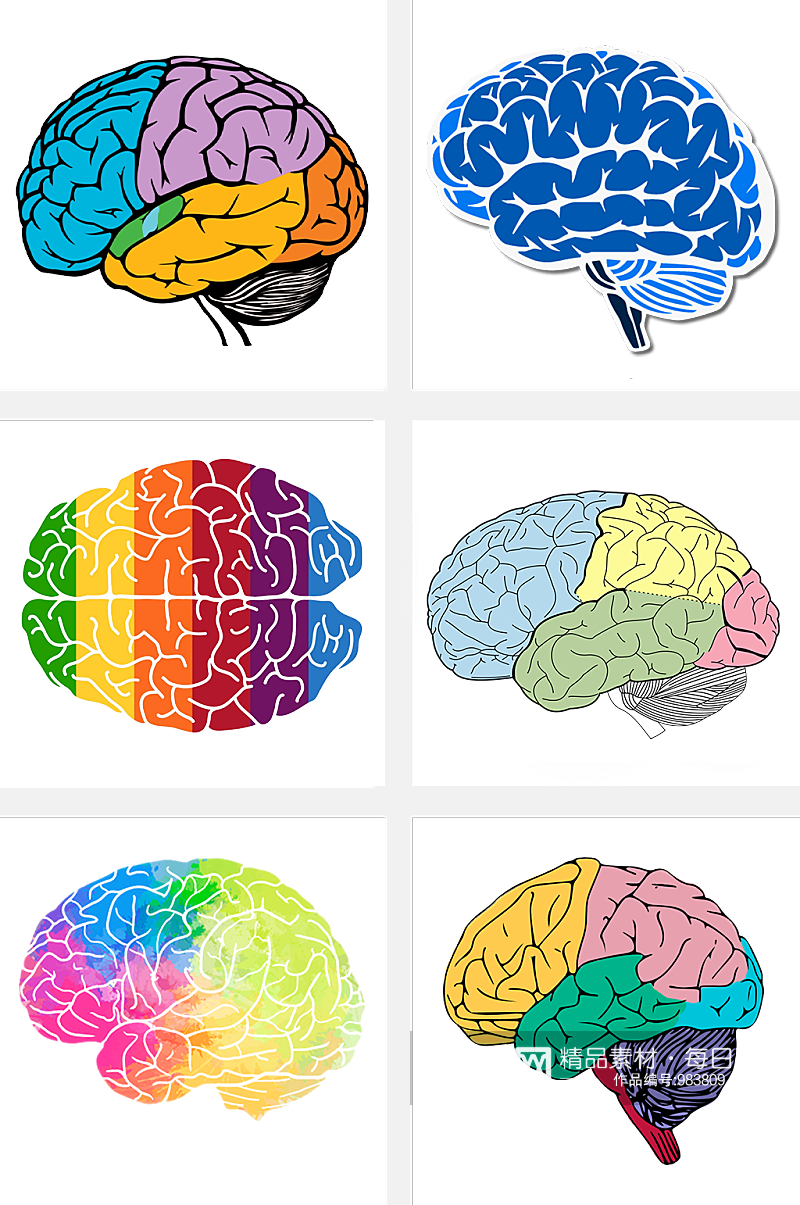 人体组织大脑神经素材