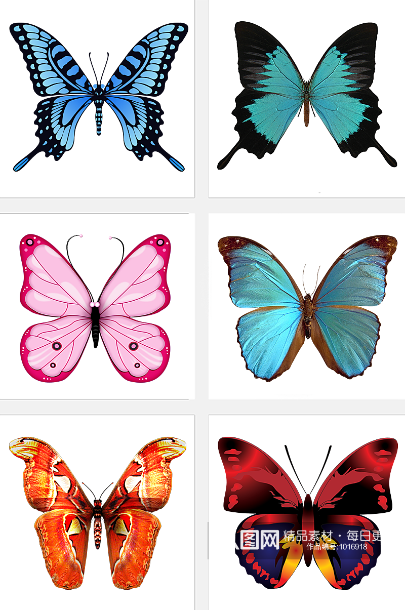 生物蝴蝶装饰素材素材
