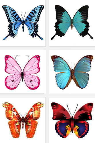 生物蝴蝶装饰素材