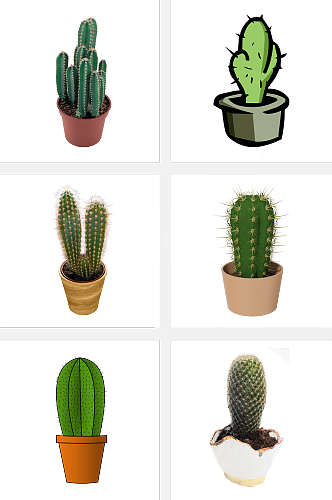 绿植盆栽仙人掌素材