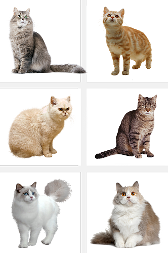 加菲猫免抠宠物素材