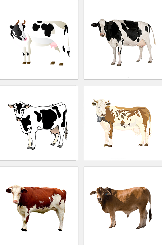 牲畜奶牛饲养元素