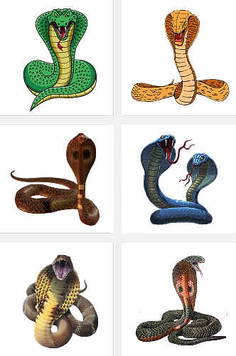 眼镜蛇毒舌猛兽素材