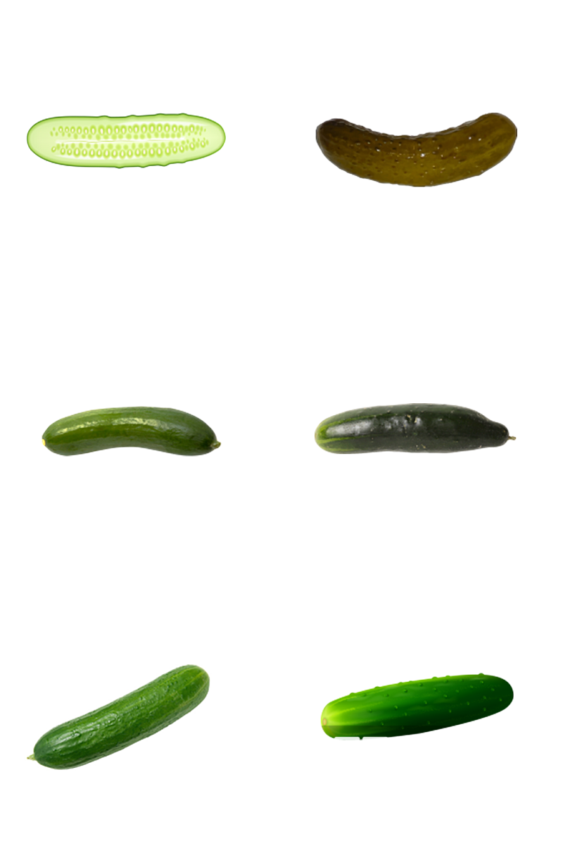 绿色蔬菜黄瓜素材素材