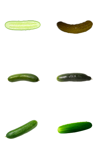绿色蔬菜黄瓜素材