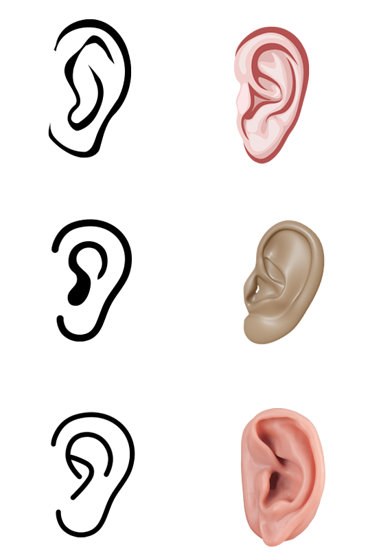 耳朵医院人体结构