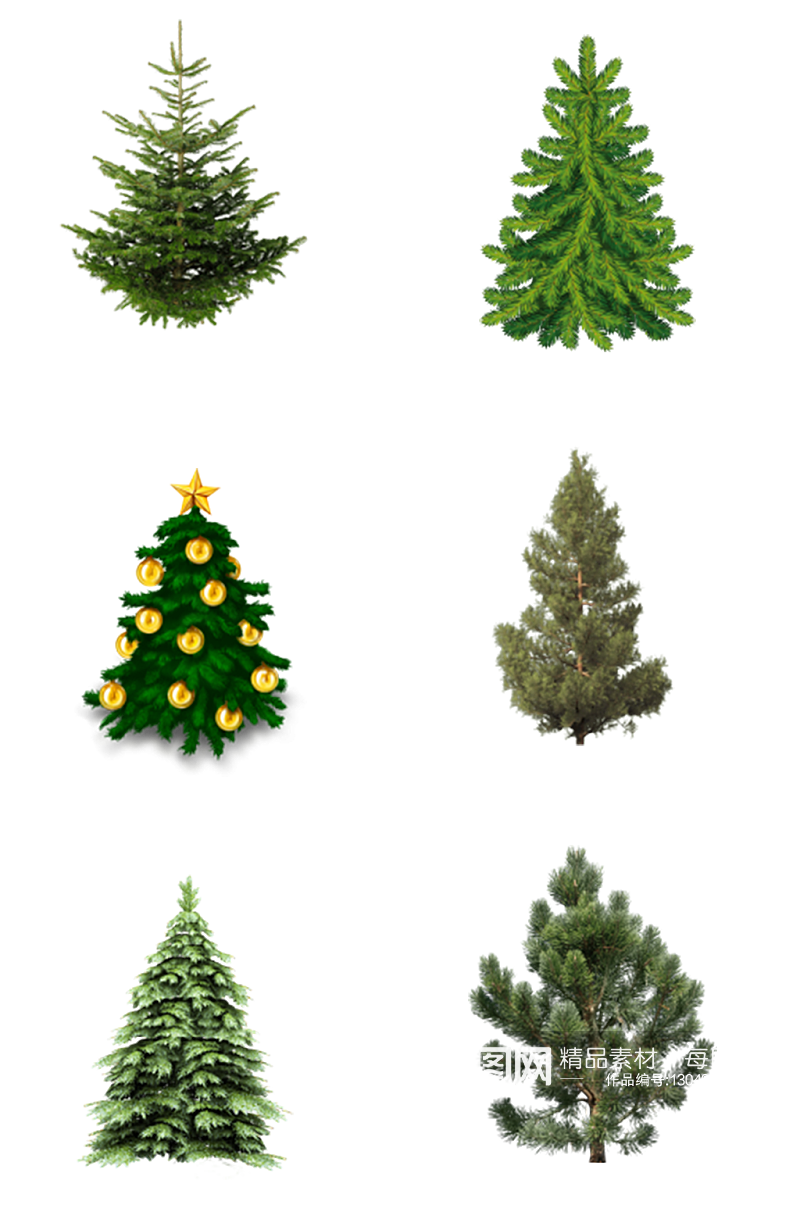 绿植圣诞树桑树素材素材