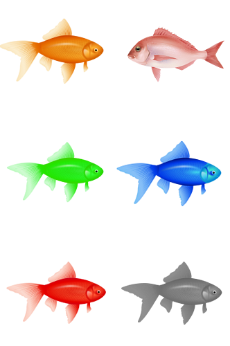 彩色鱼类海洋生物