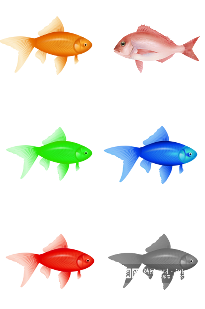 彩色鱼类海洋生物素材