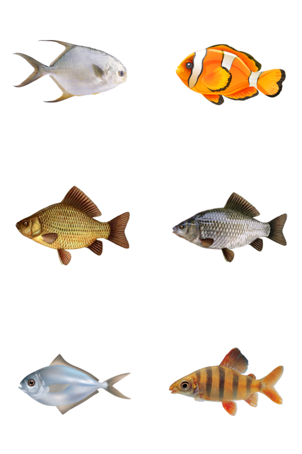 海洋生物鱼类大全