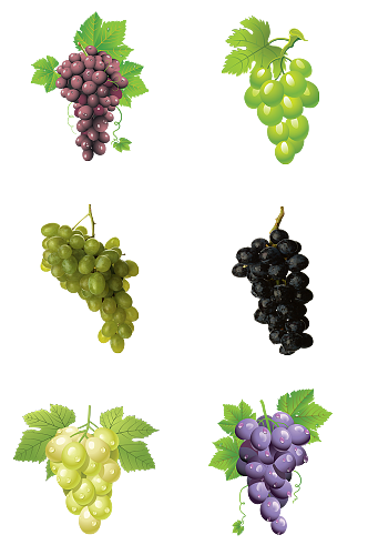 葡萄品种蔬果促销