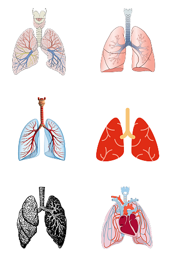 人体器官肺部肺炎 肺部肺树素材