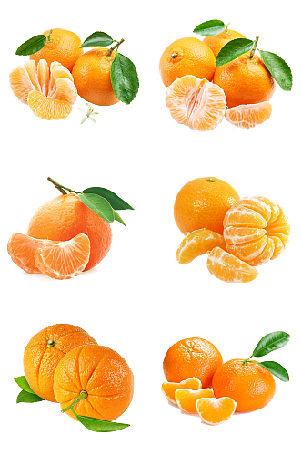 水果沙田橘子促销甩卖