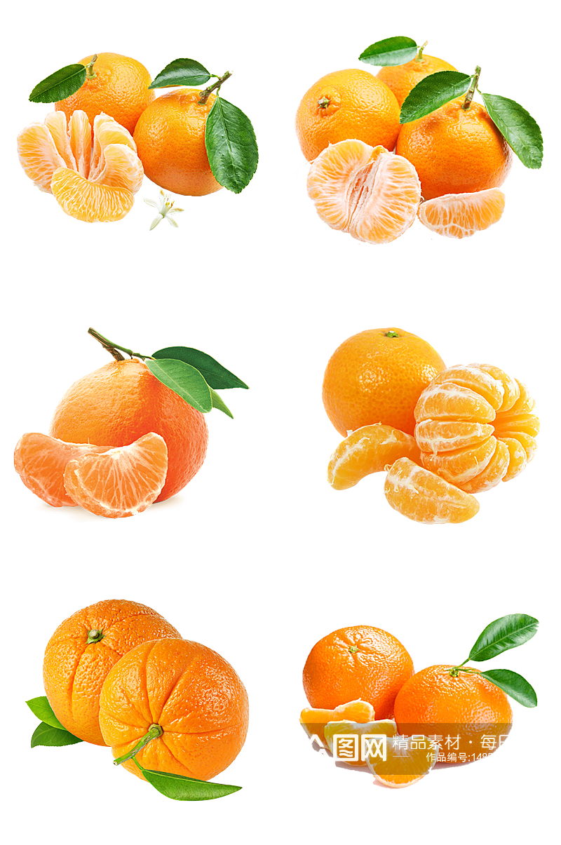 水果沙田橘子促销甩卖素材