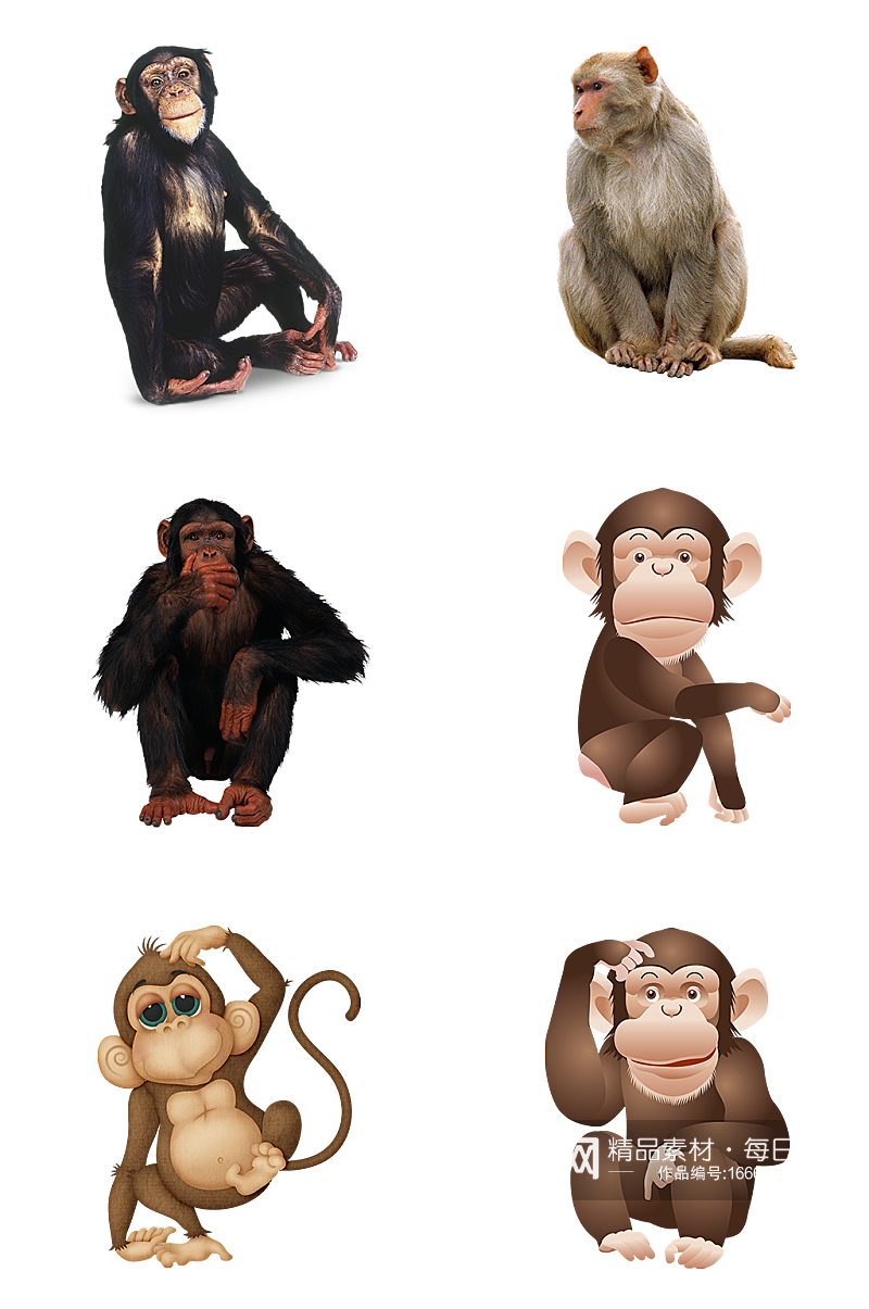 动物猴子动物园动物素材