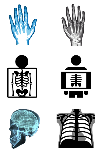 人体骨骼拍片人体组织