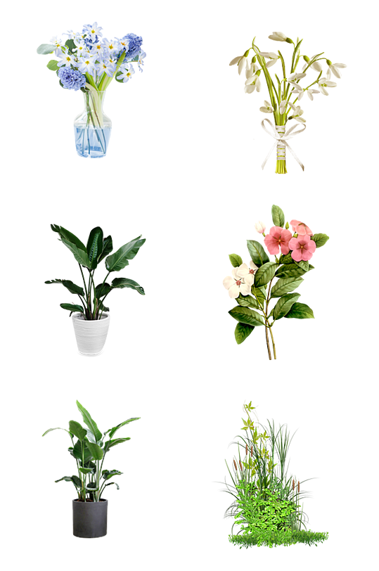 绿植花卉花盆花瓶