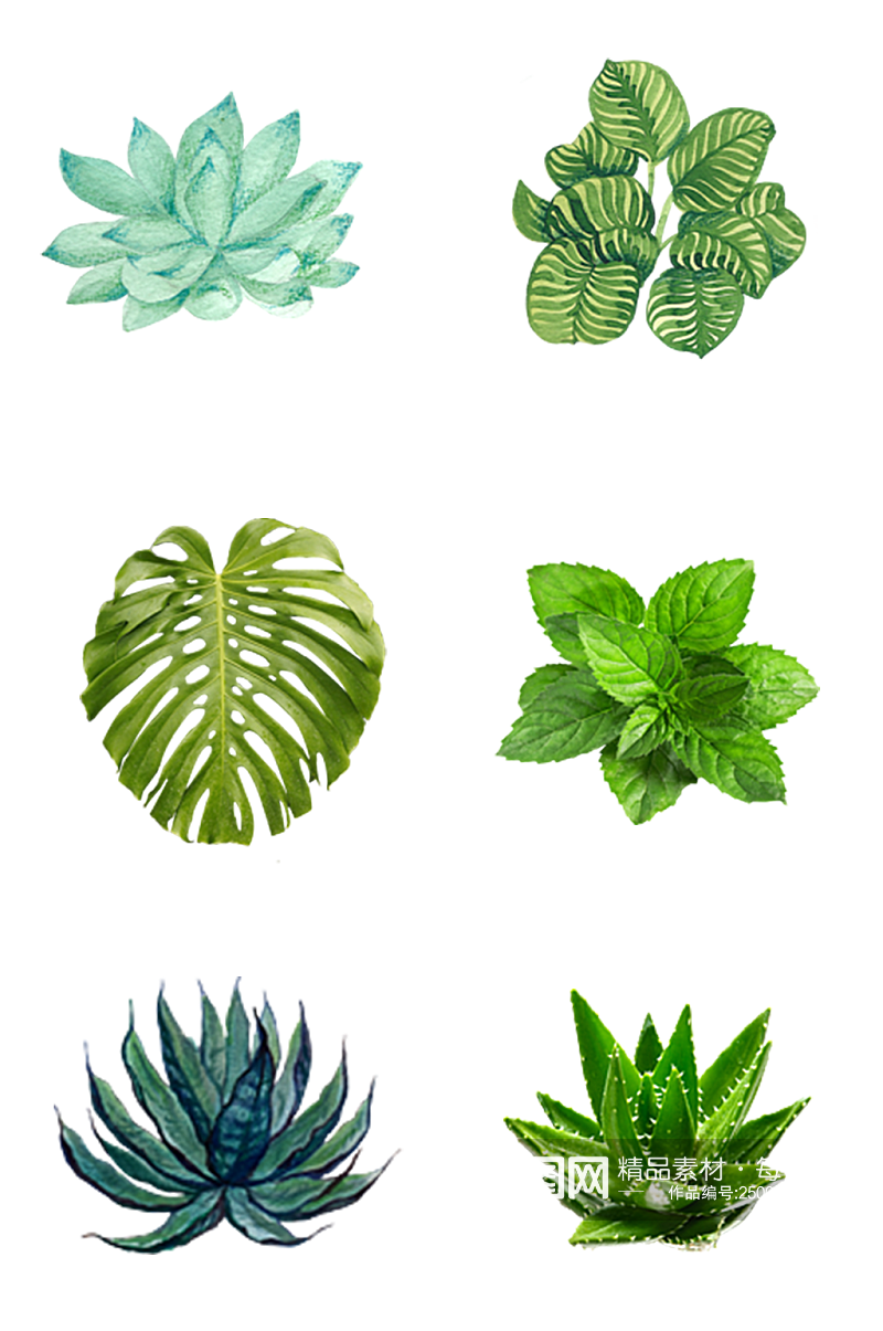 绿植手绘树叶装饰素材