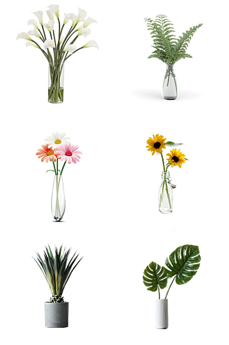 绿植鲜花种类花瓶