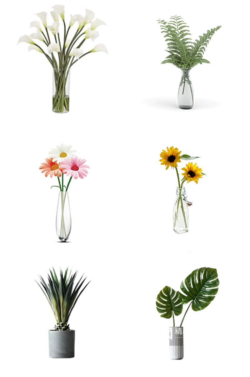 绿植鲜花种类花瓶素材