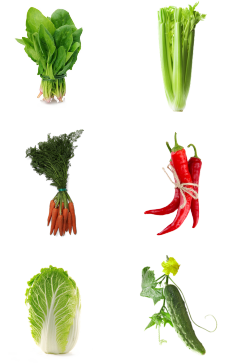 新鲜菜蔬有机蔬菜
