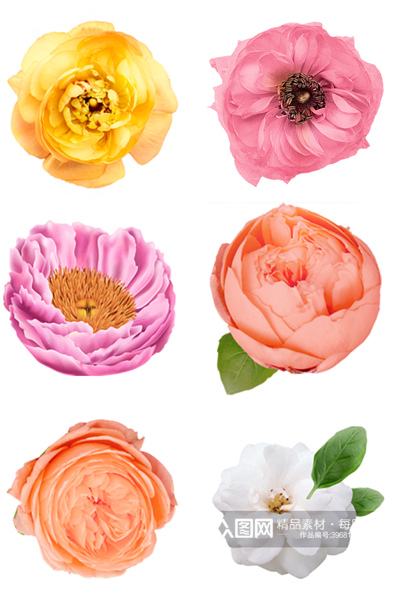 花朵花卉花束种类素材