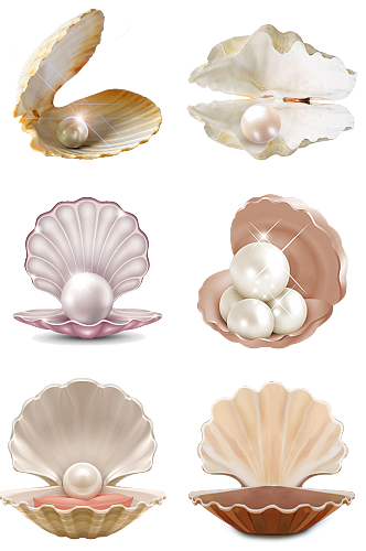 珍珠贝壳海洋素材